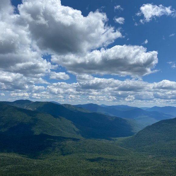 Meet your Posher - Picture 1 of 1